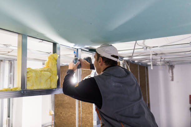 Best Insulation Maintenance and Repair in Spencerport, NY