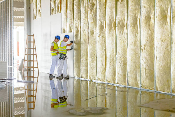 Professional Insulation Contractor in NY